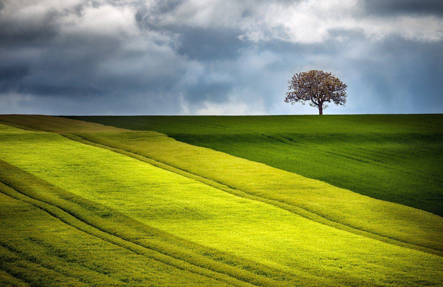 , Danny Vangenechten