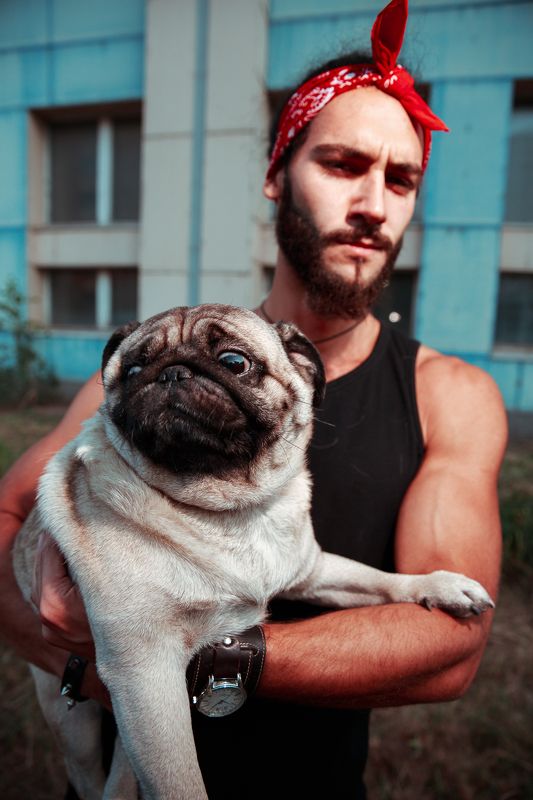 мопс Мопсовая фото превью