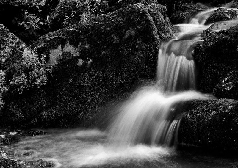 Acqua, Cascate, Mosso, Natura, Roccia, Torrente, Vegetazione Sottobosco фото превью