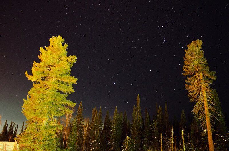 Atmospheric, Forest, Great, Green, Night, Russia, Sky, Stars, Winter, Звезды, Зима, Лес, Небо, Ночное небо, Ночной пейзаж, Путешествие, Россия, Шерегеш Звездное небо Шерегеша фото превью