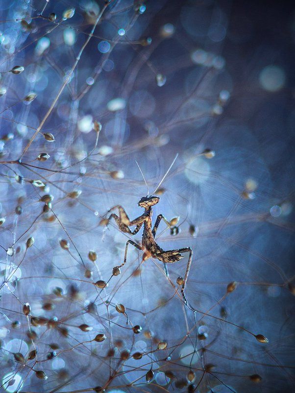 Февраль. фото превью