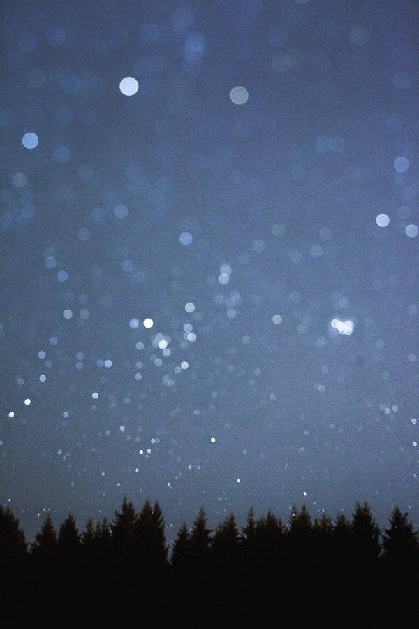 Ts-e45mm, Елки, Ночь, Воронин Вова