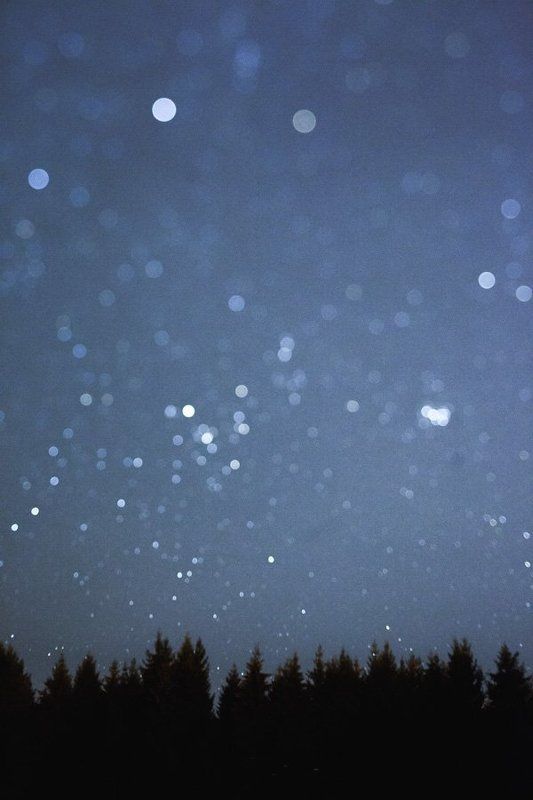 Ts-e45mm, Елки, Ночь ... фото превью