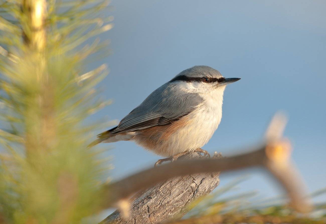 , Юрий Кулаков