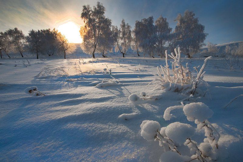 *** фото превью