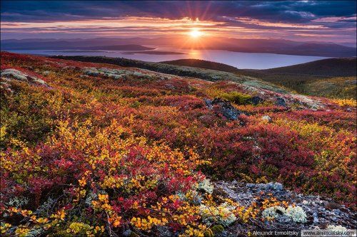 ~ Северная палитра ~
