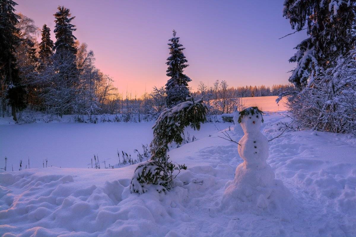 , Марина Никифорова