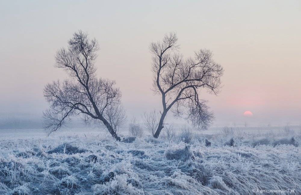 , Katarzyna Gritzmann