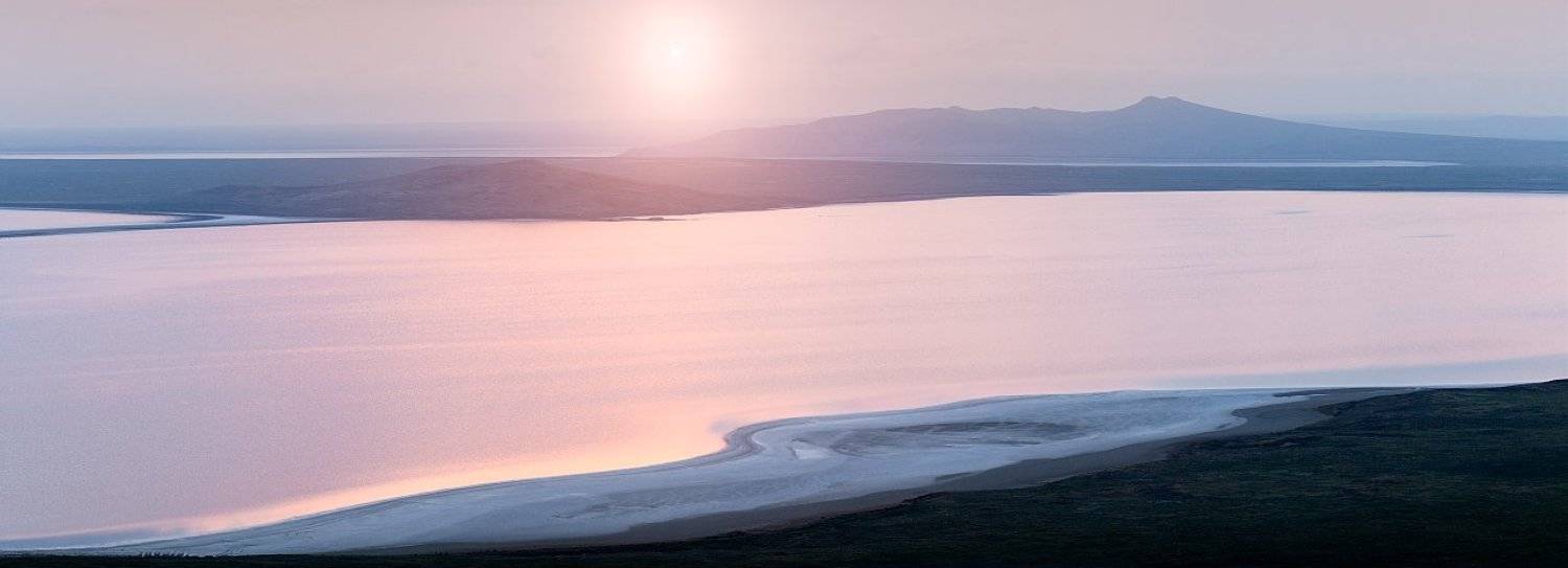 , Алексей Пучков