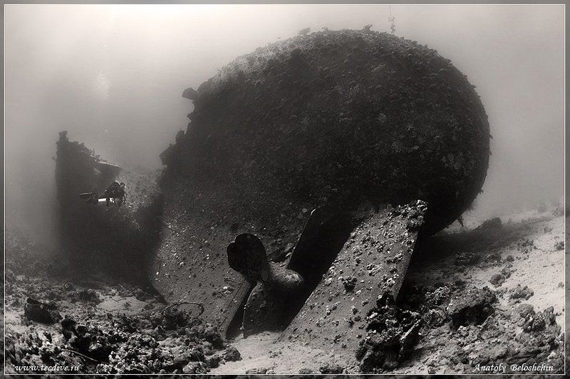 Abu Huhas, Chrisoula K, Marcus, Анатолий Белощин Chrisoula K (Marcus) (затонувший корабль) фото превью