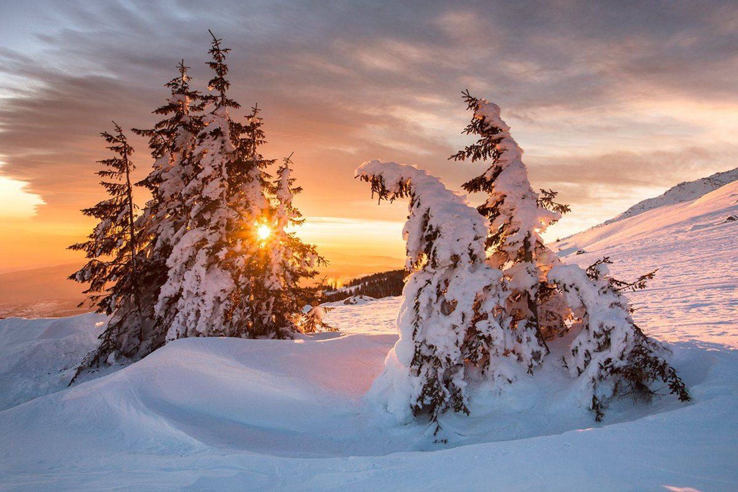 болгария, рассвет, витоша, зима, Павел Пронин