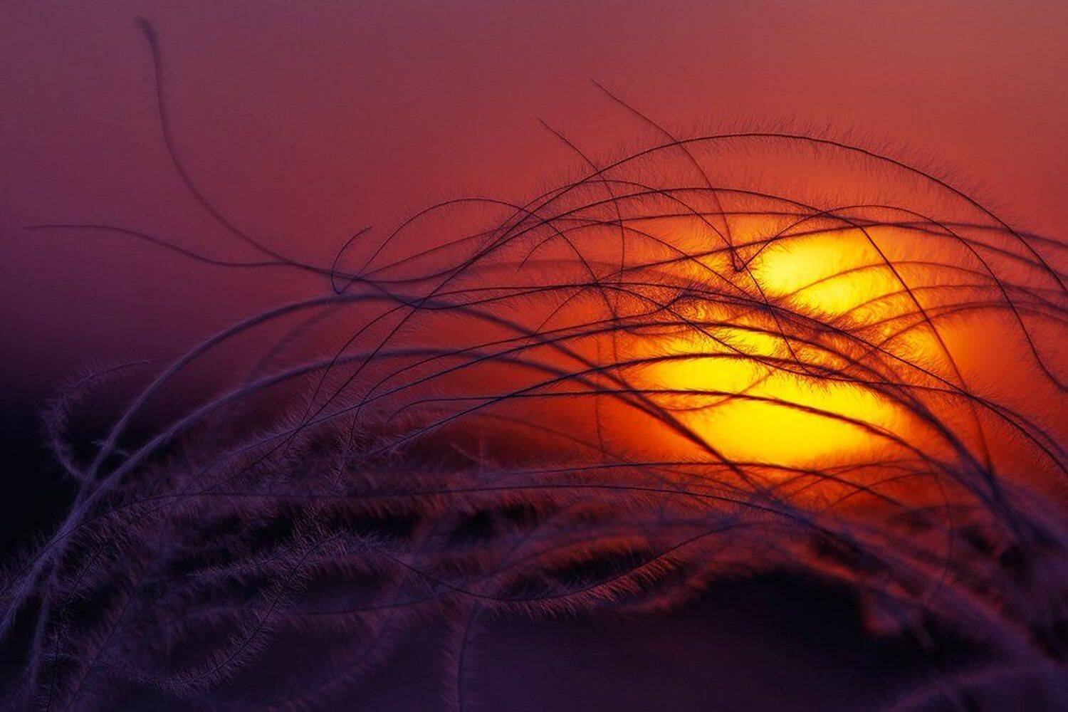 , Юрий Сорокин