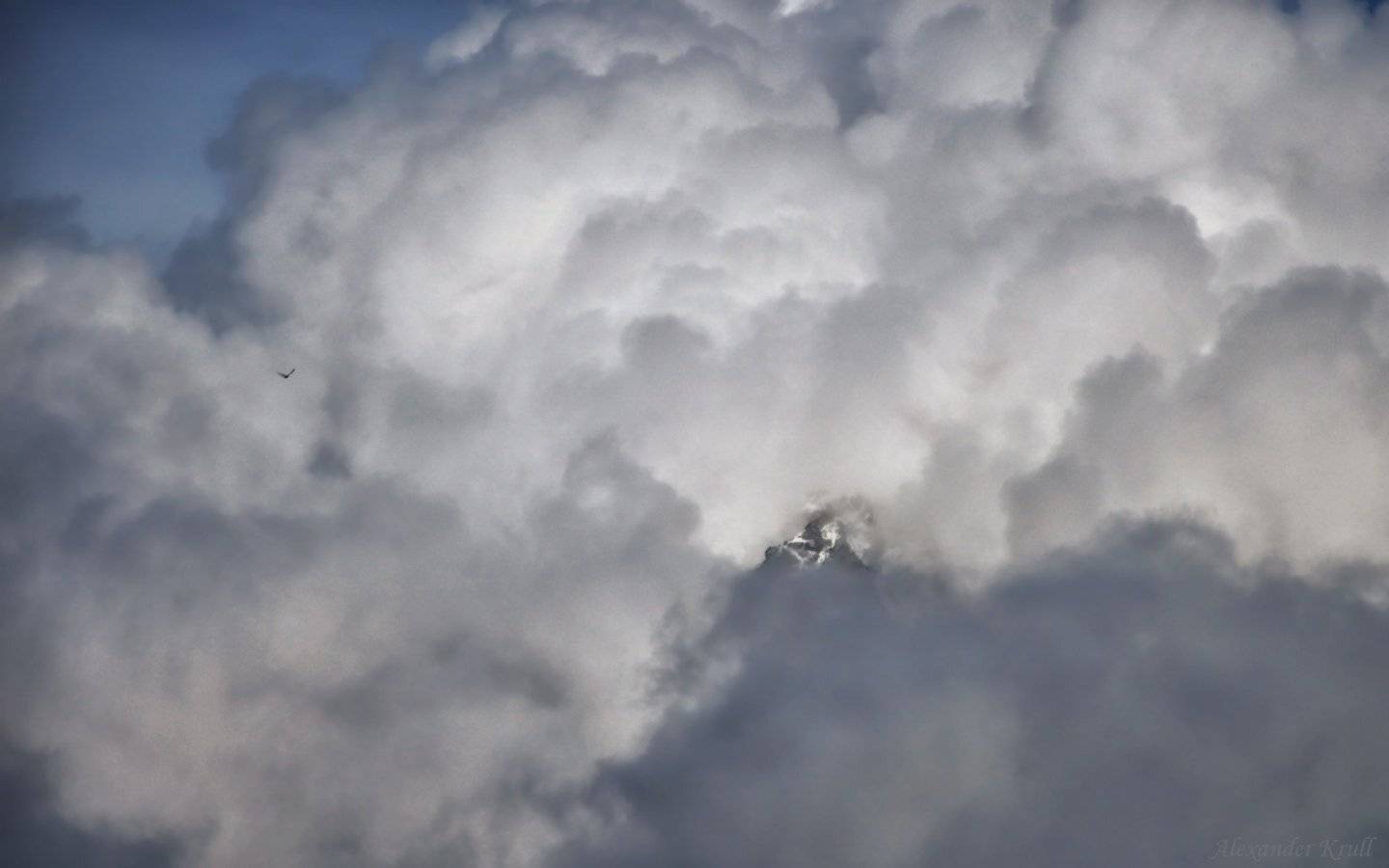 , Александр Круль