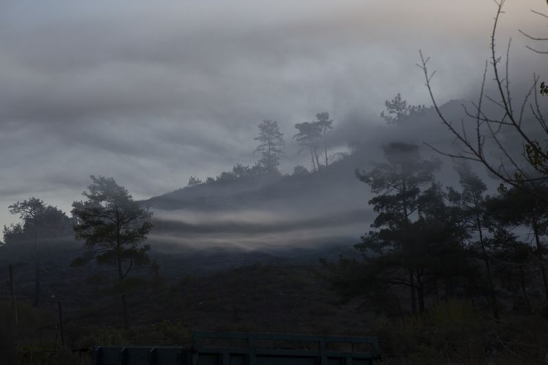 Раннее утро фото превью