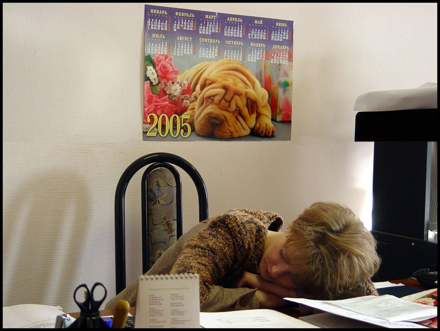 , Меднов Влад