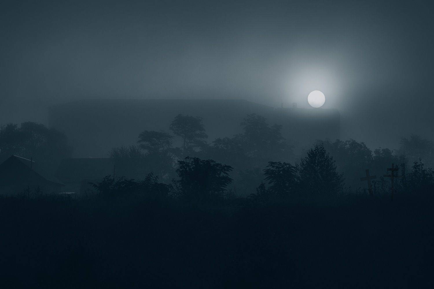 , Алиева Татьяна