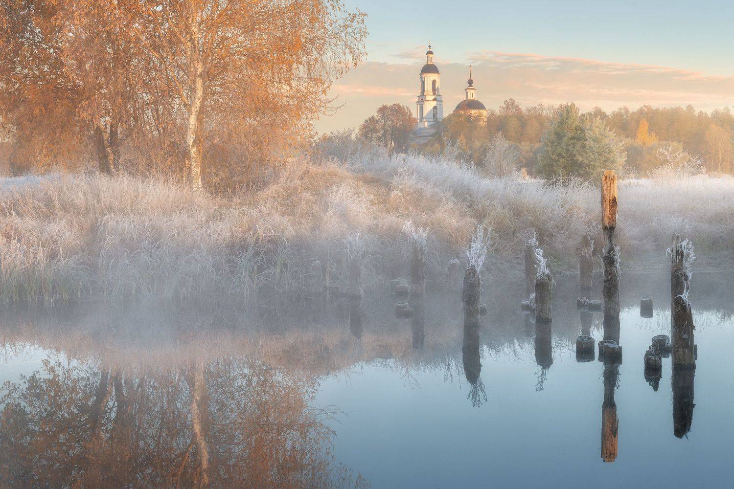 , Политова Анна