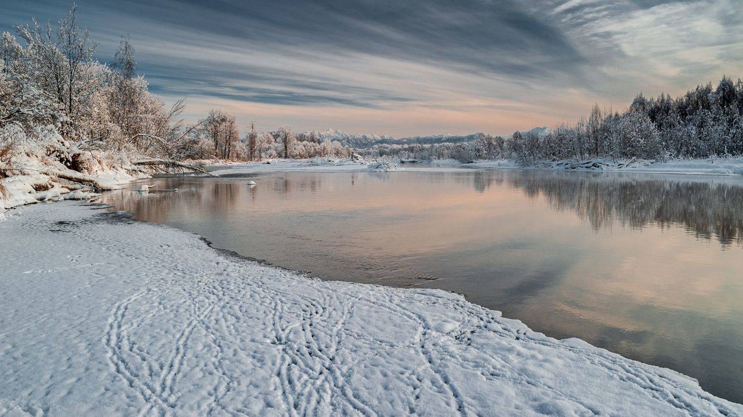 , Евгений Житников