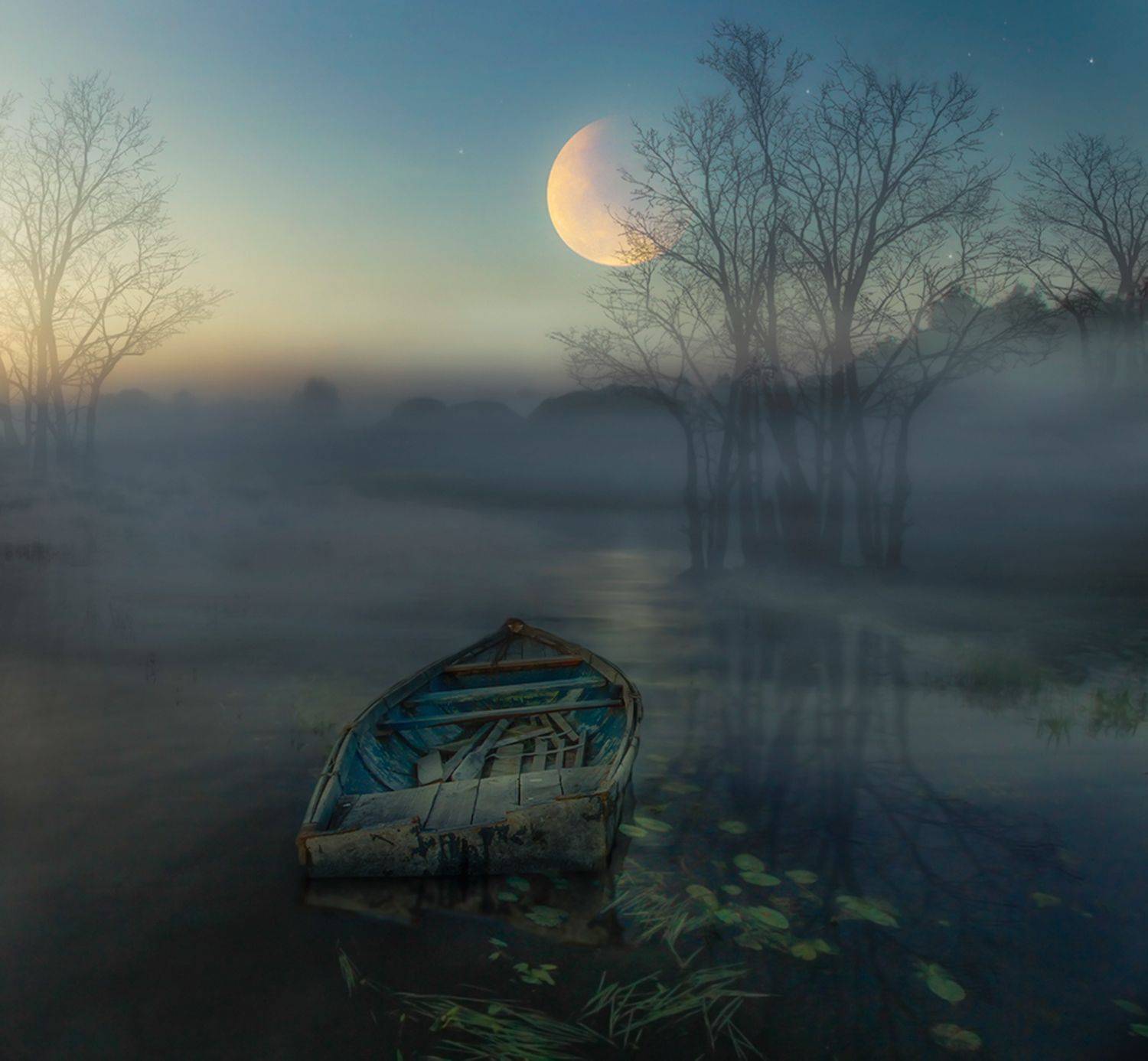 , Елена Рубинская