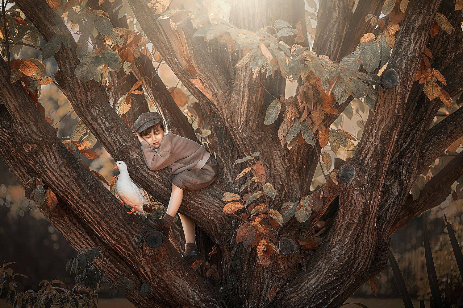 yao wenqi,  姚文琦