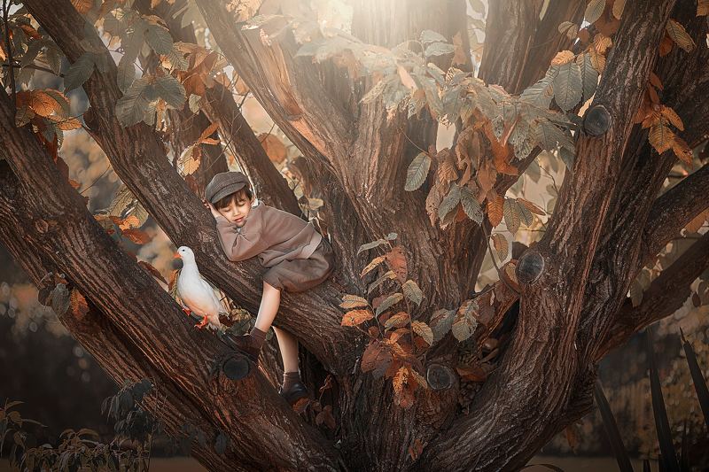 yao wenqi *** фото превью