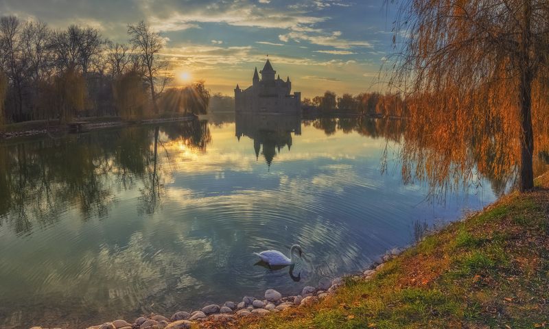 Лебединая осень фото превью