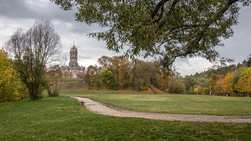 Дуборовицы