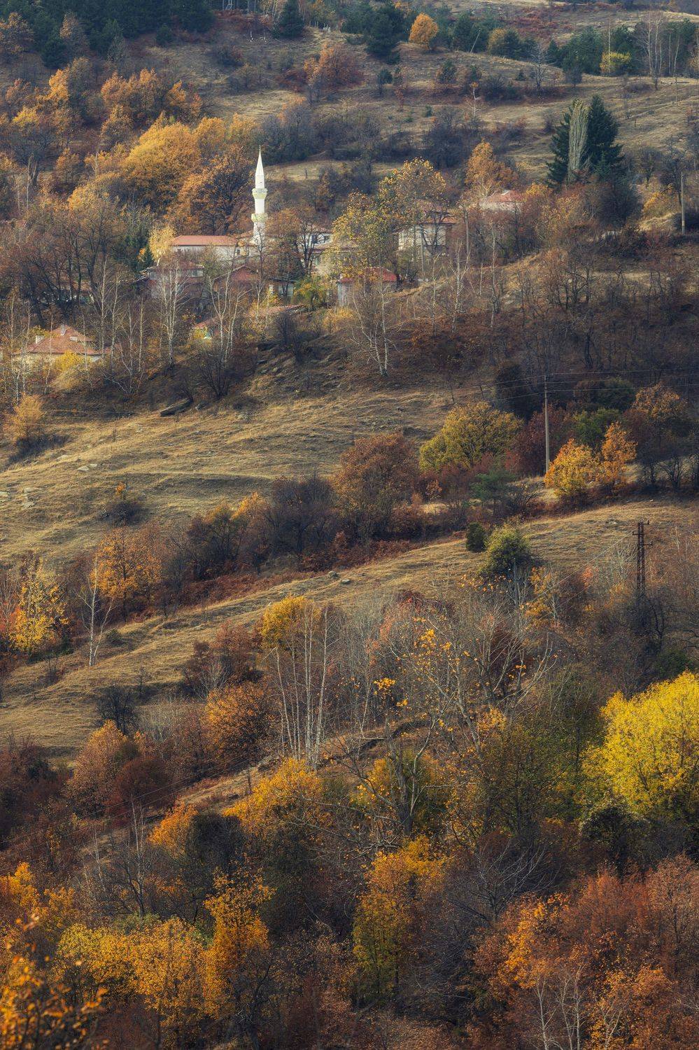 , Костадин Маджаров