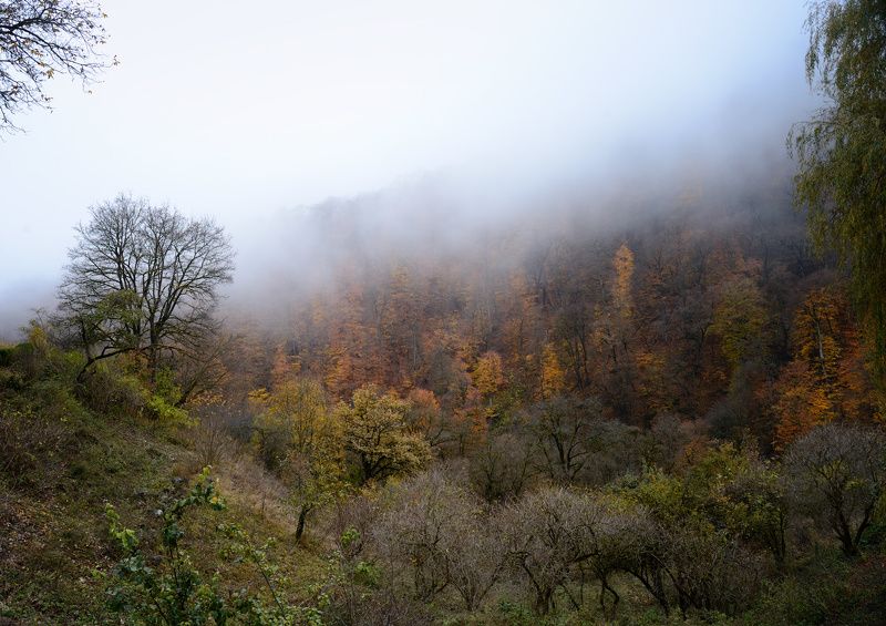 Дилижан фото превью
