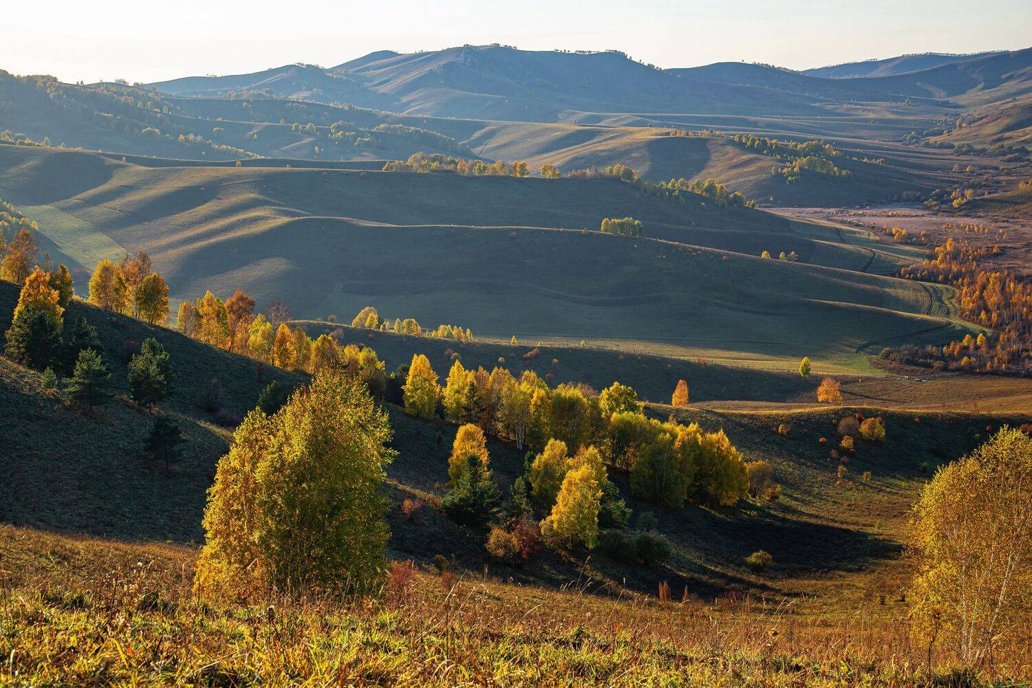 алтай. осень. горы., Евгений Дроботенко