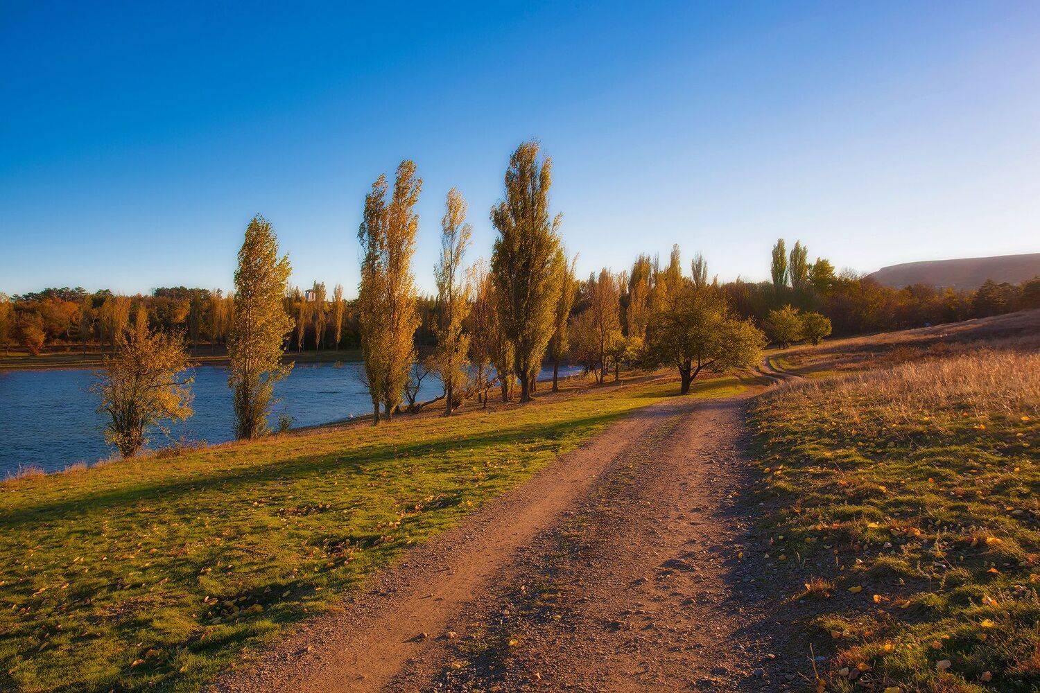 , Аседач Александр