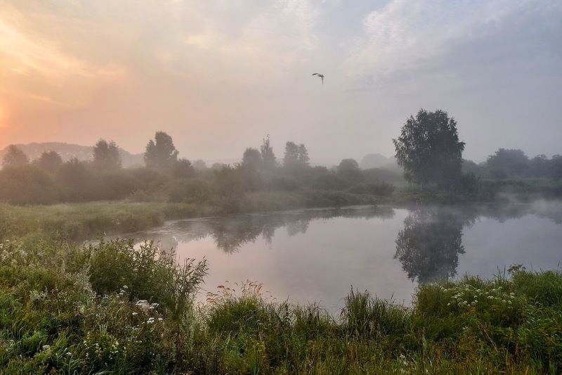 Деревенский пруд по утру фото превью