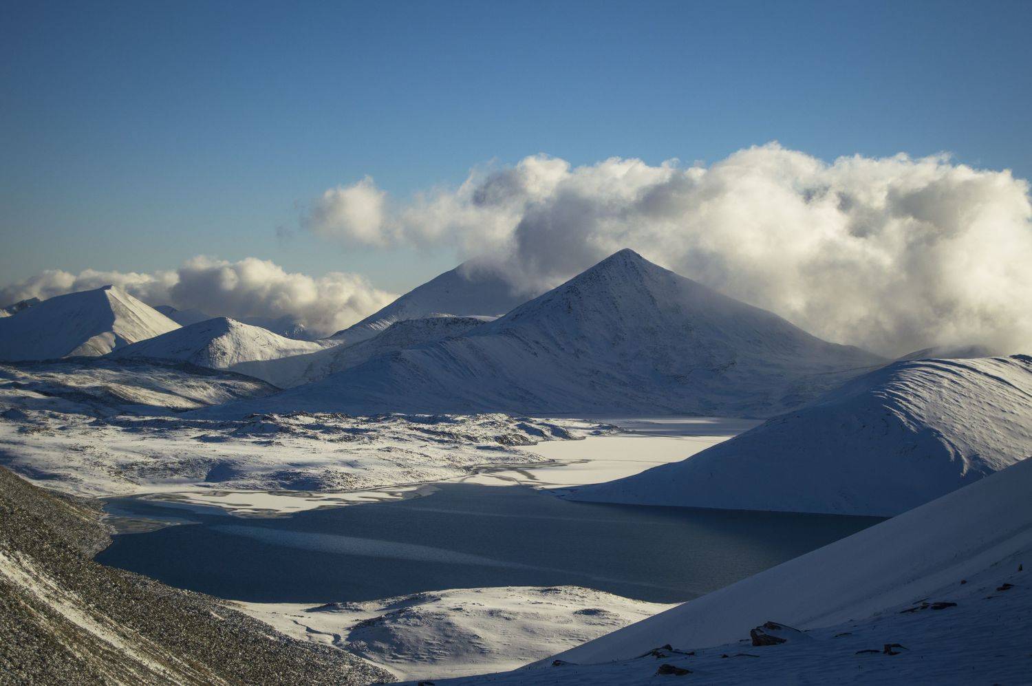 , Степанова Дарья