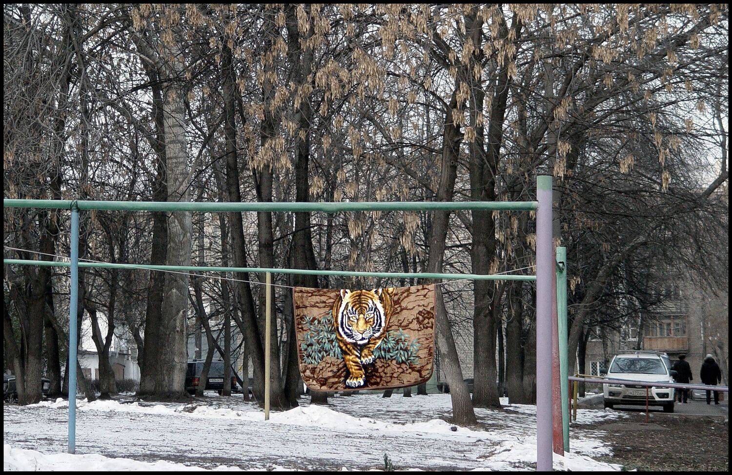 , Меднов Влад