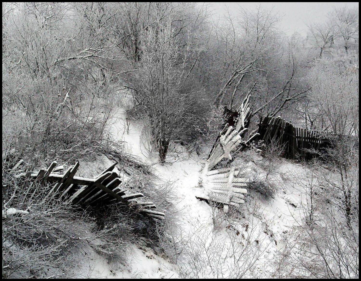 , Меднов Влад