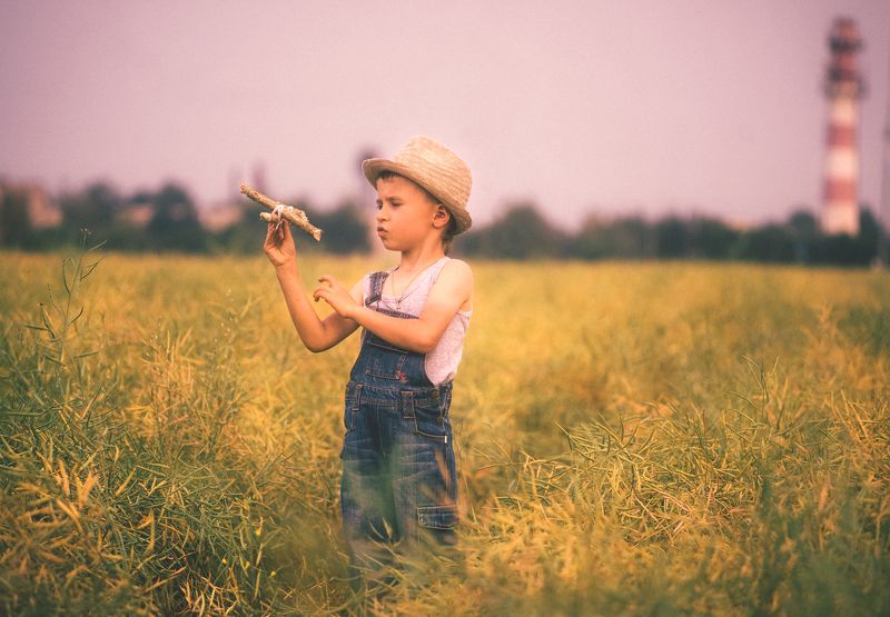 дети, поле, лето, дети, детский портрет, самолётик,детство, Летом в поле фото превью