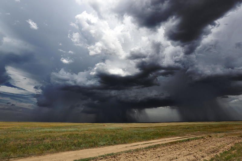 Сила природы фото превью