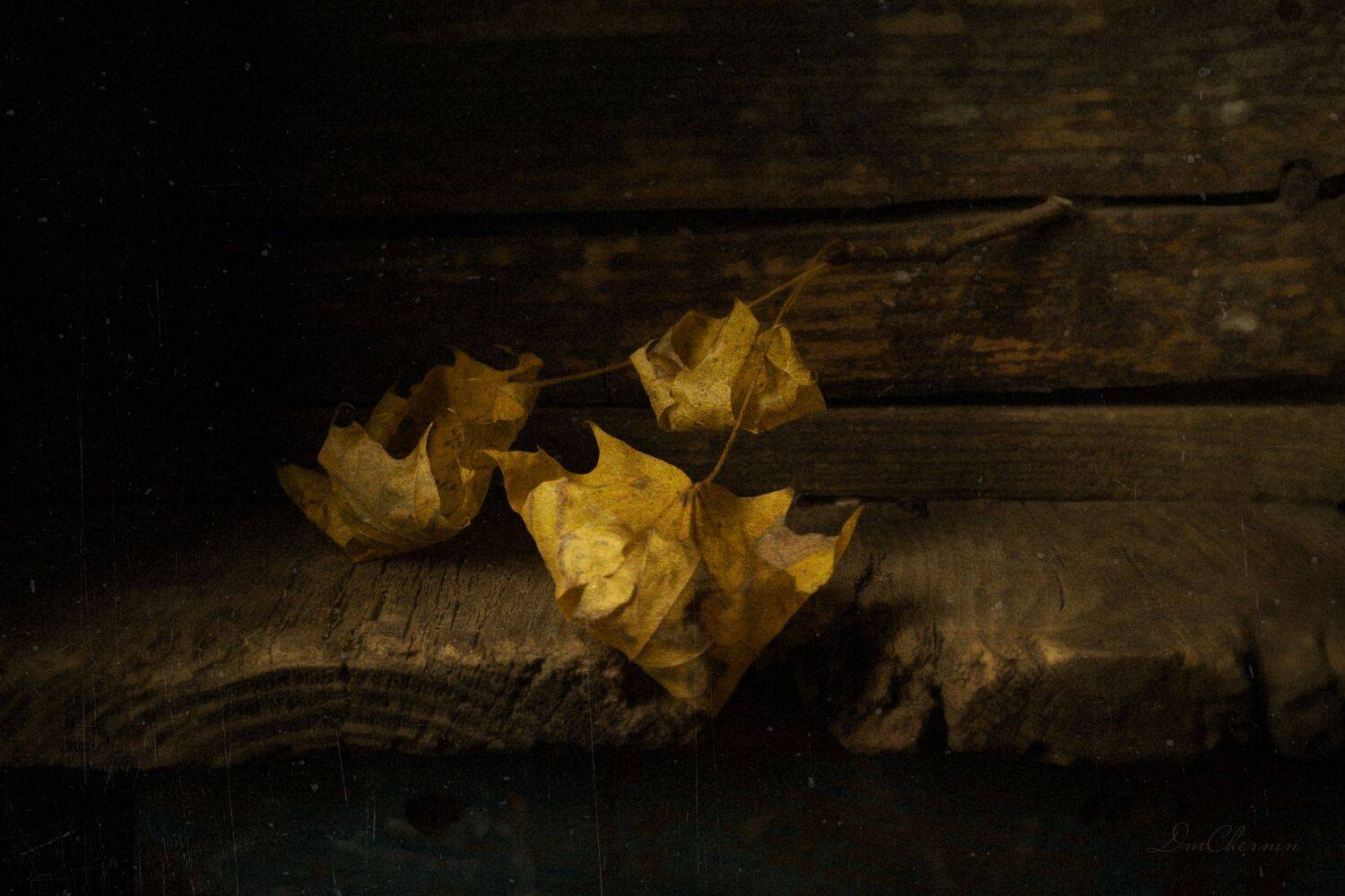 , Дмитрий Чернин