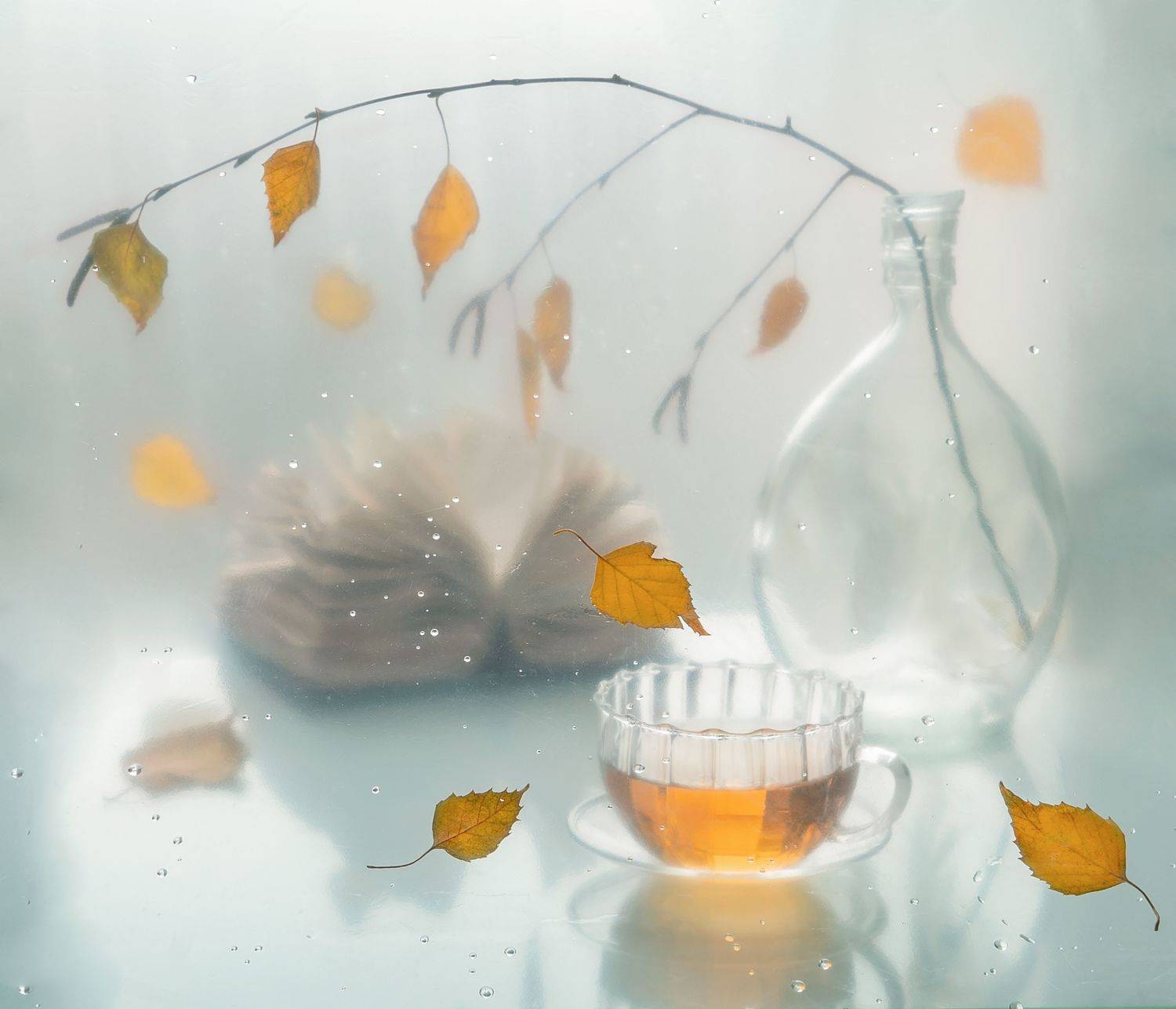 , Тришина Галина