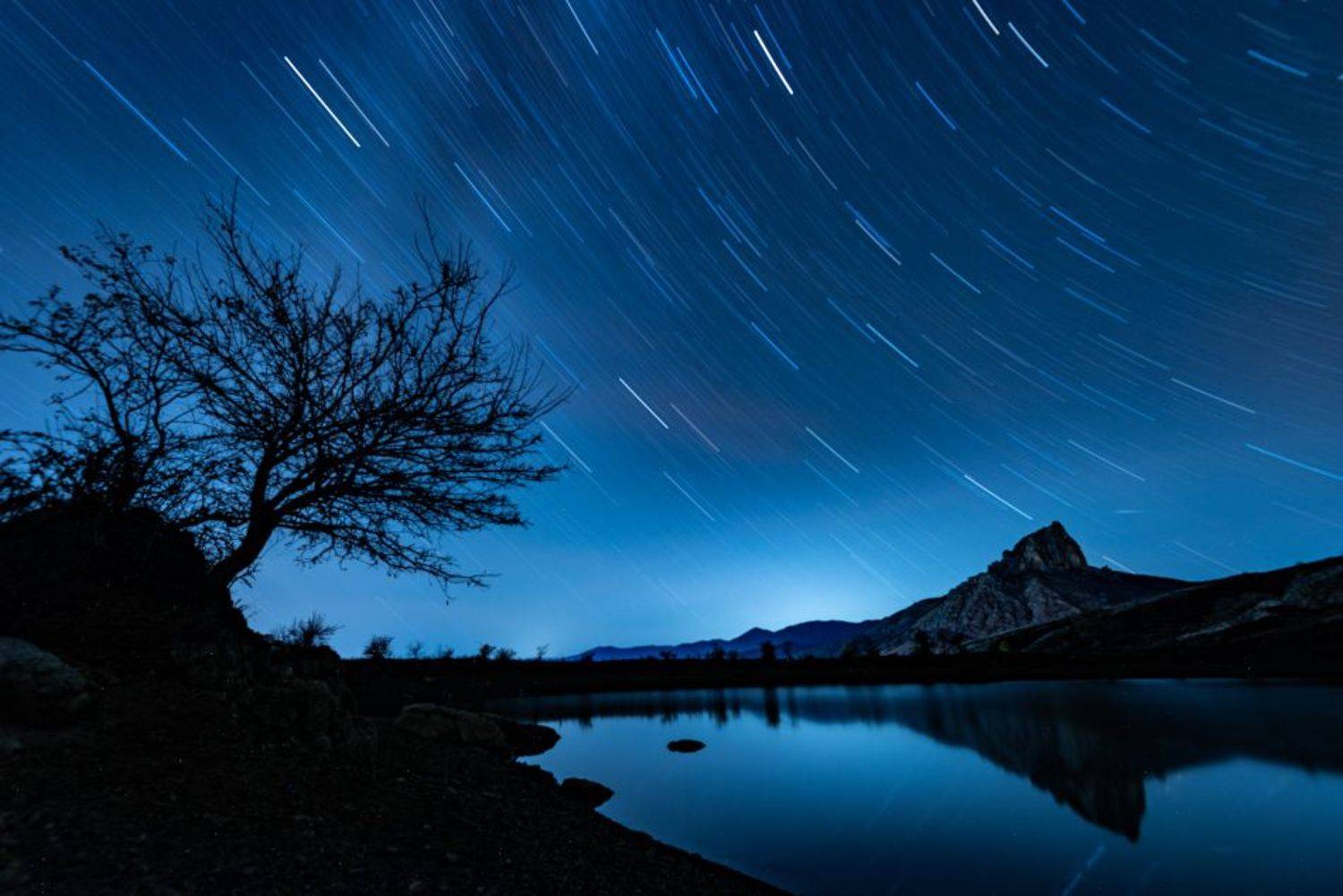 , Андрей Гусаченко