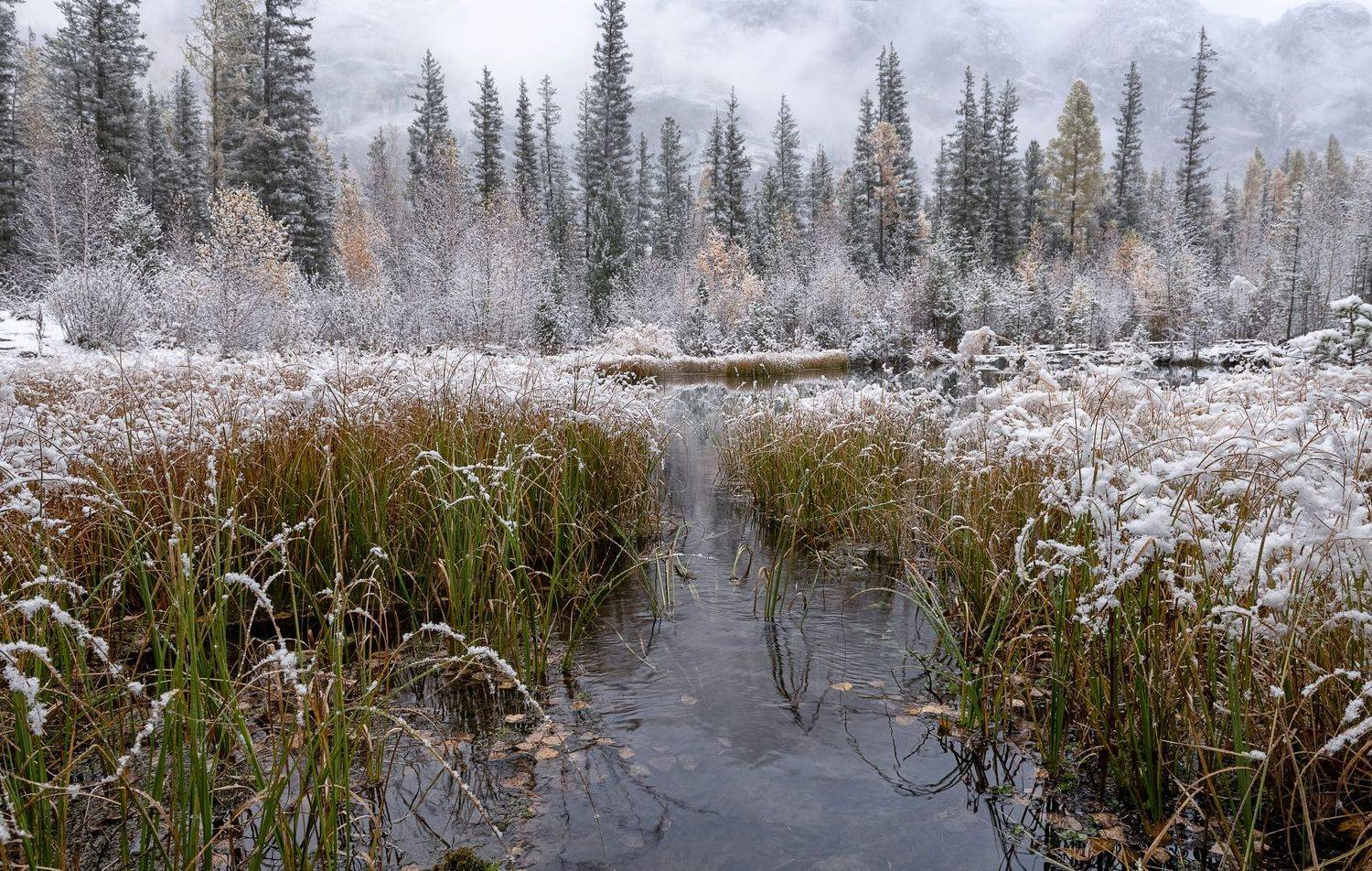 алтай, озеро, первый снег, Марина Фомина