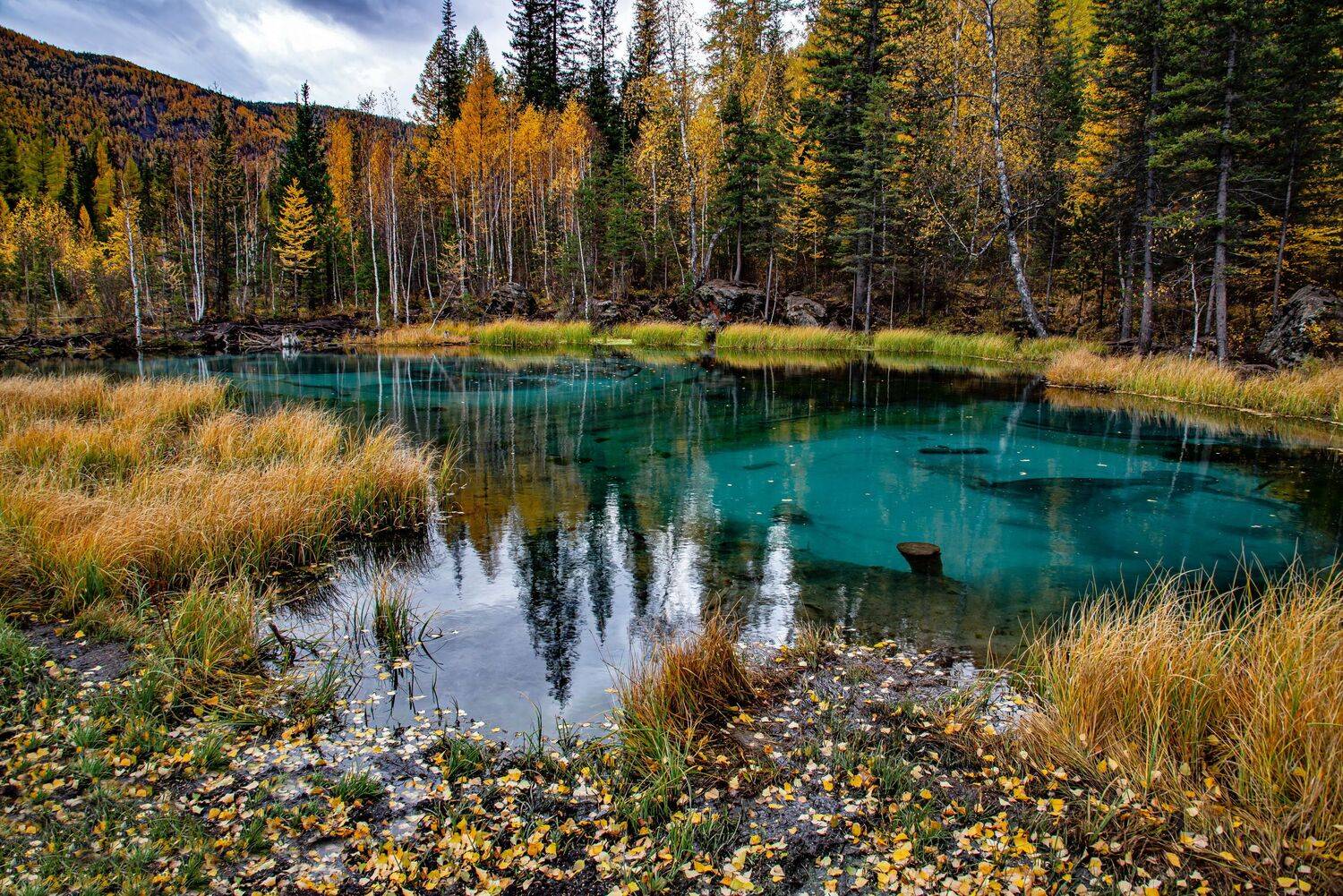 алтай. осень. горы., Евгений Дроботенко