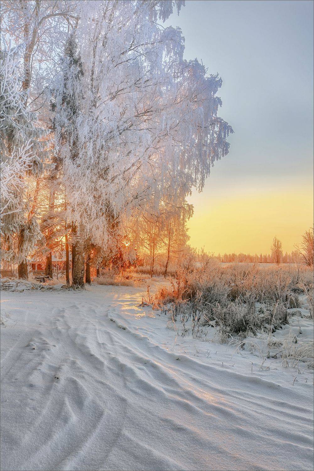 пейзаж, вечер, осень, снег, деревня, свет, цвет, александр никитинский, Никитинский Александр