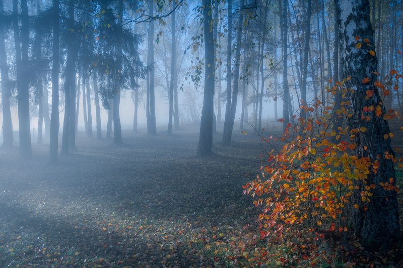 ******** фото превью