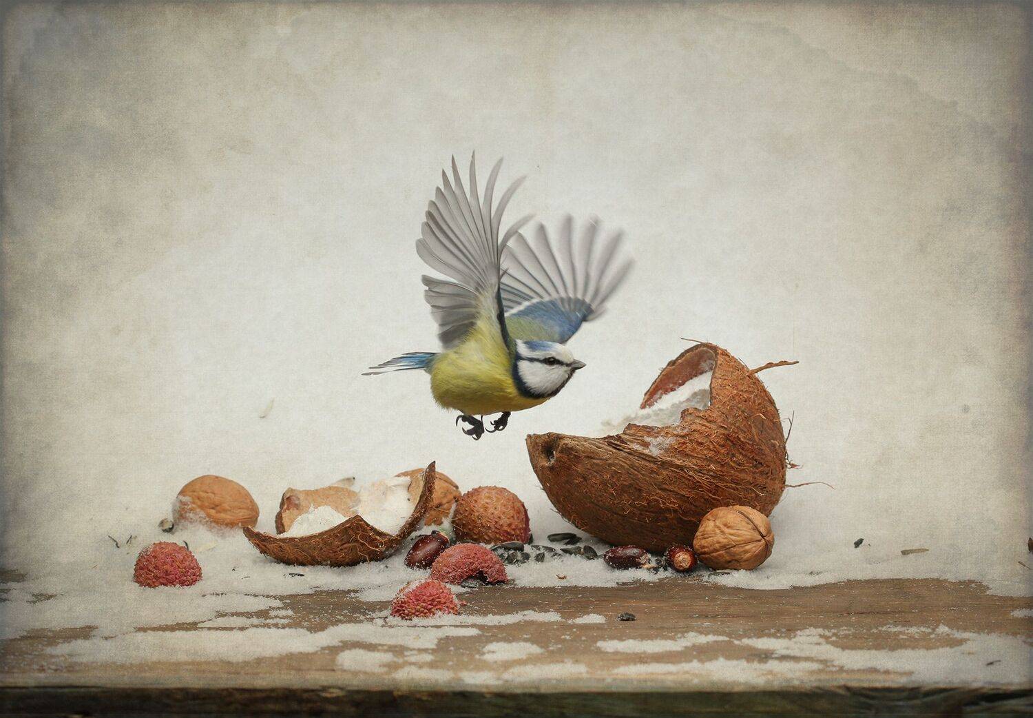 лазоревка, Хромушин Олег