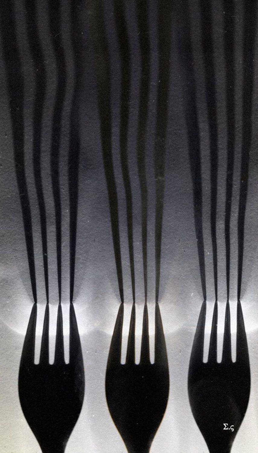 ВИЛКИ ТЕНИ FORK, Sergey Voronin