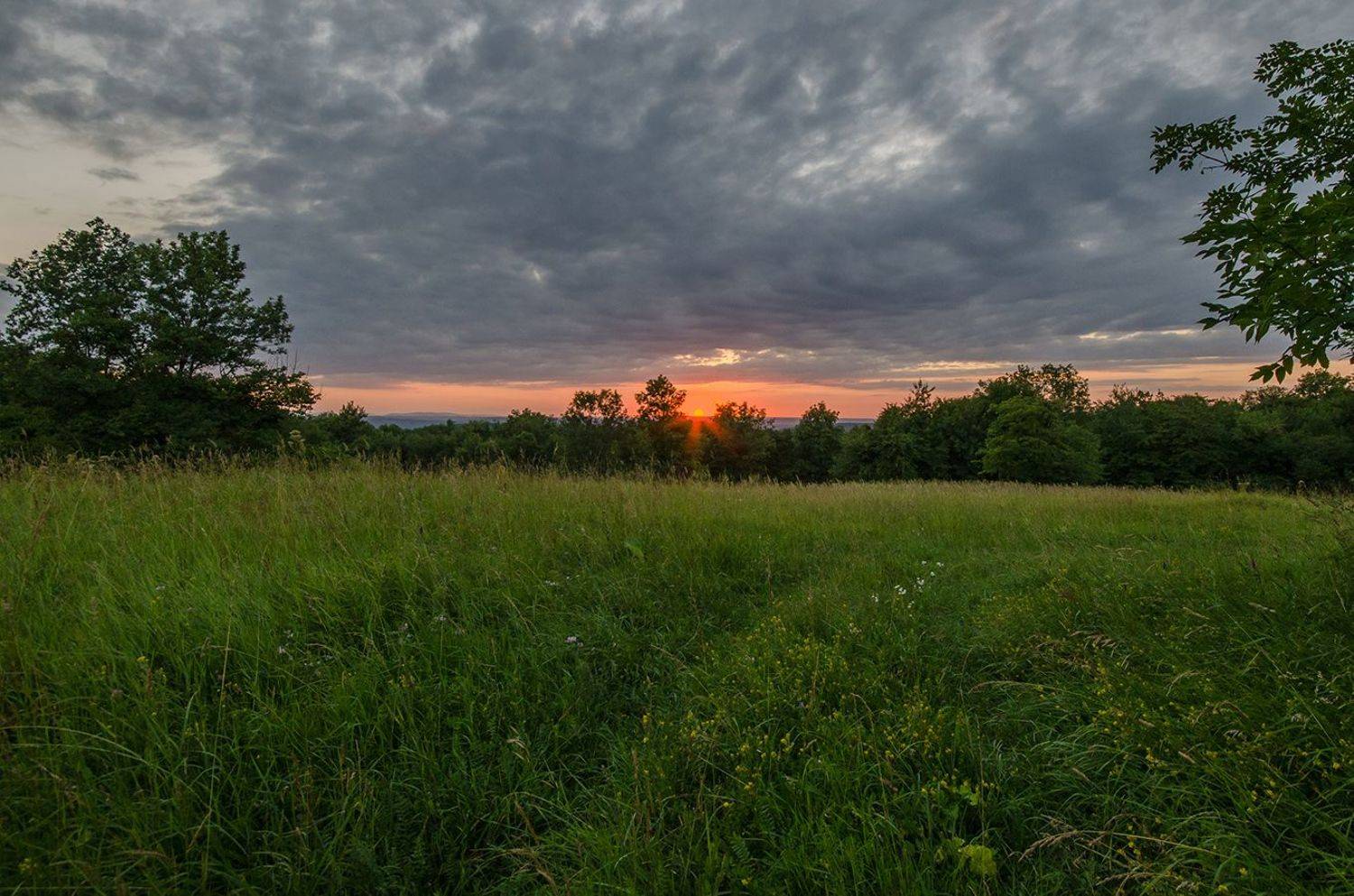 лето, вечер, закат, поляна, Виктор Индюхин