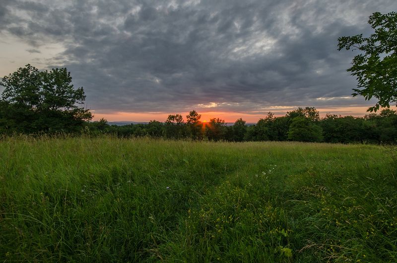 лето, вечер, закат, поляна  фото превью