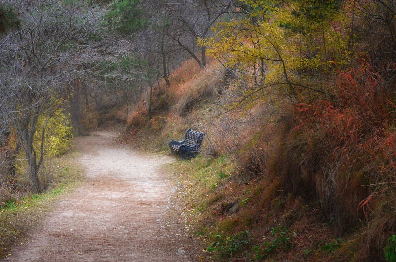 , Геннадий Чеботарев