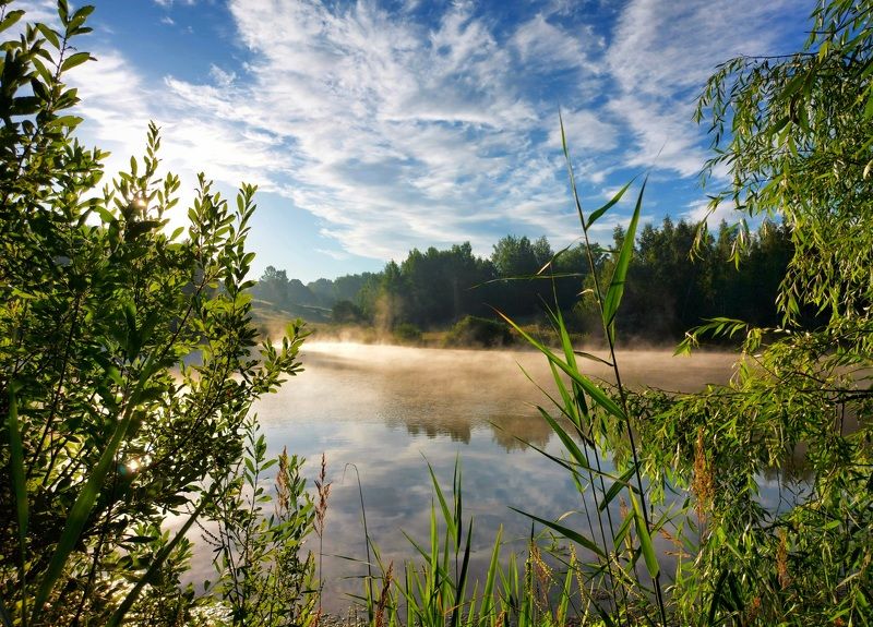 лето, рассвет, пруд, туман, природа, восход Последний июльский рассвет. фото превью